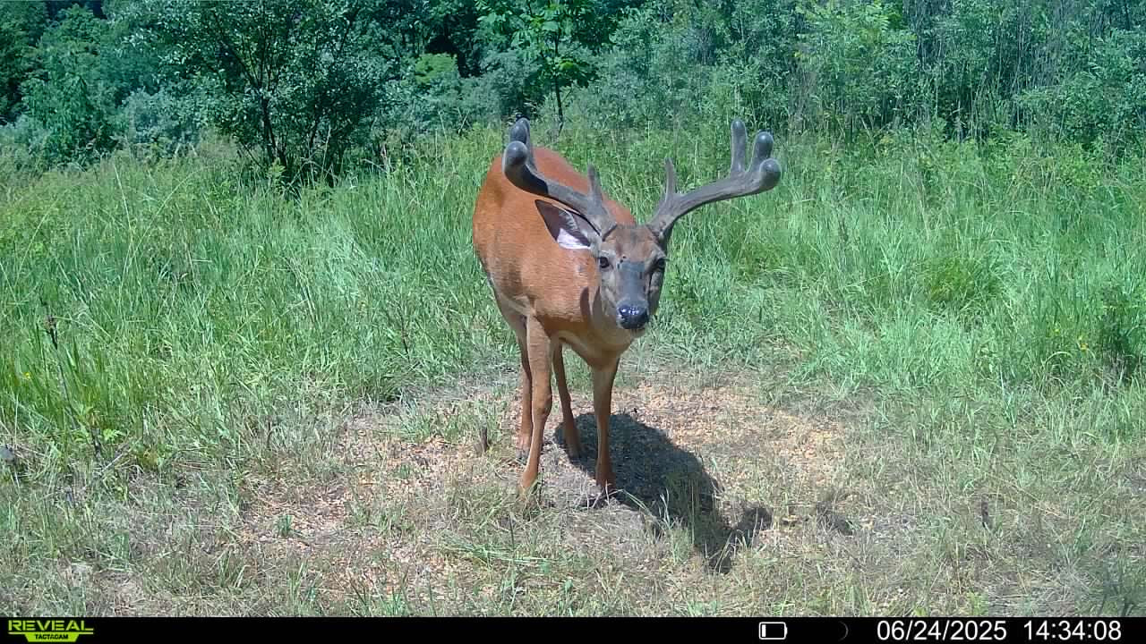 Ohio 5 Day Semi-DIY Hunt