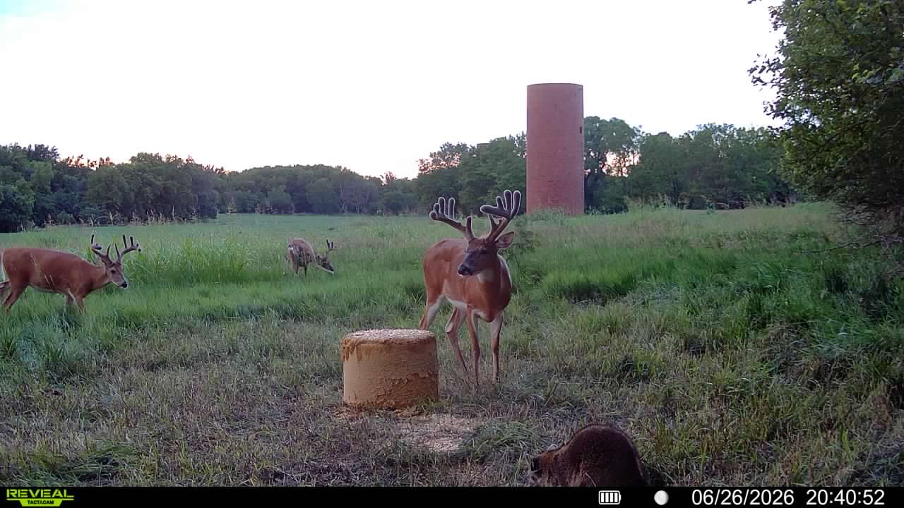2026 Kansas 5 Day Semi-Guided Hunt