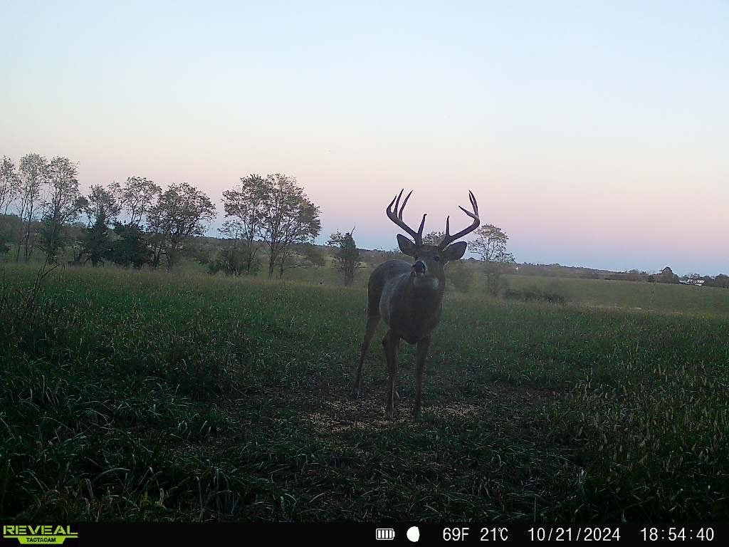 Kentucky Early Muzzleloader Hunt October 18-19th