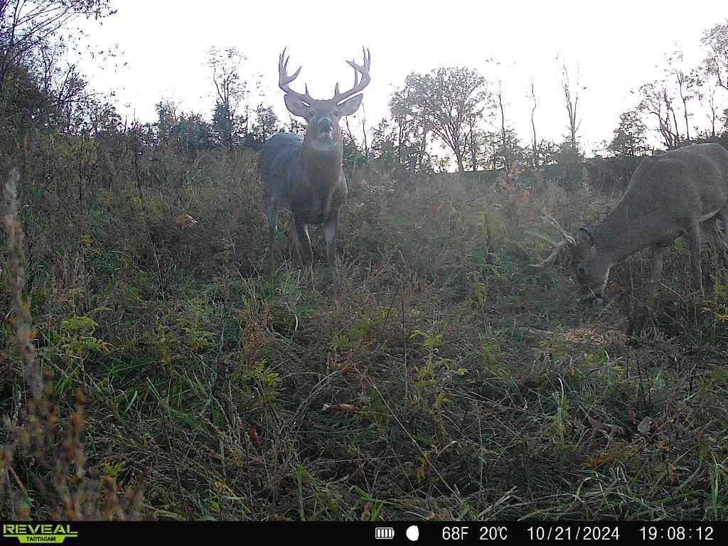 Kentucky Rifle Hunt