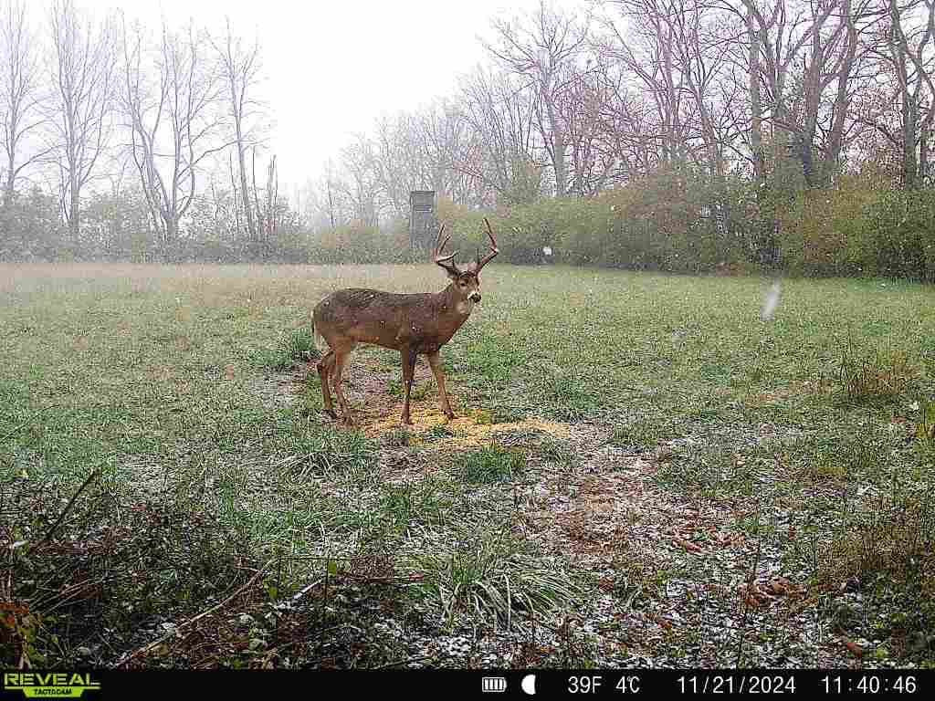 Opening Week Rifle Hunt
