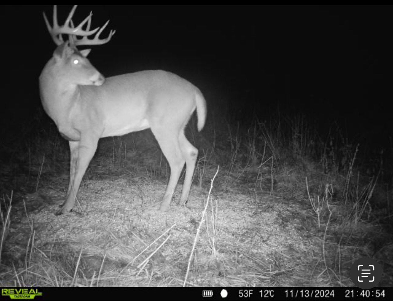 Kentucky Muzzleloader Hunt