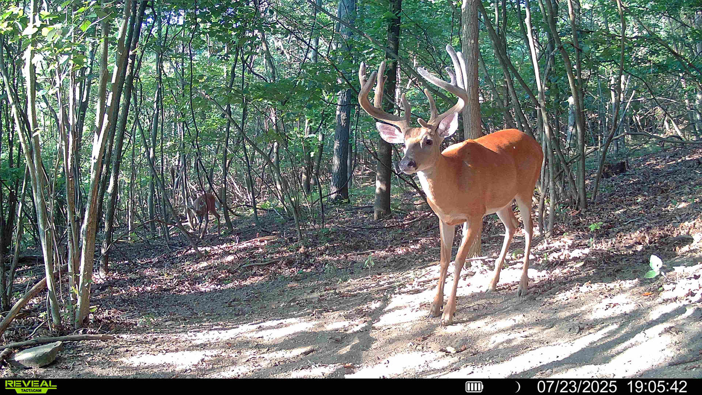 2026 Ohio 5 Day Semi-Guided Hunt