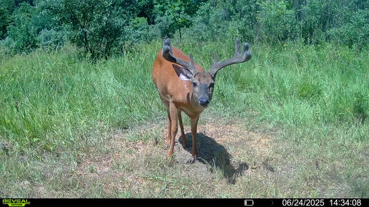 Ohio 5 Day Semi-DIY Hunt