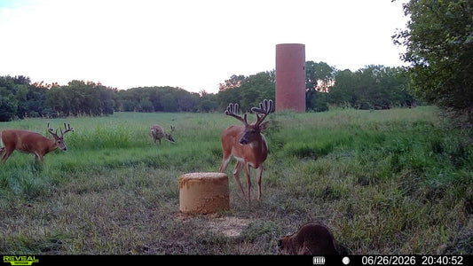 2026 Kansas 5 Day Semi-Guided Hunt