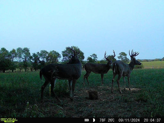 Kentucky Early Youth Hunt October 11-19th