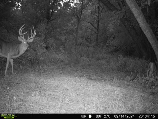 Kentucky Archery Hunt