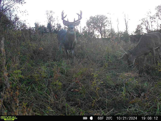 Kentucky Rifle Hunt