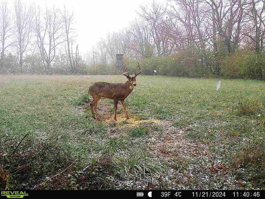 Opening Week Rifle Hunt