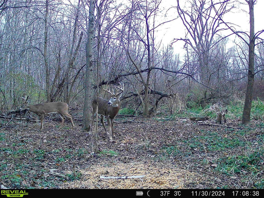 Kentucky Late Youth Hunt December 27-28th